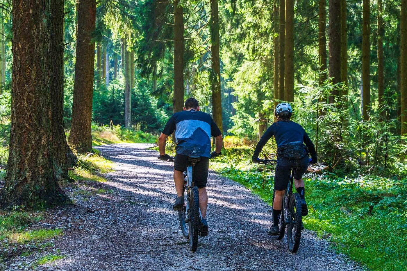 Dva cyklisté projíždí lesní cestou mezi smrky