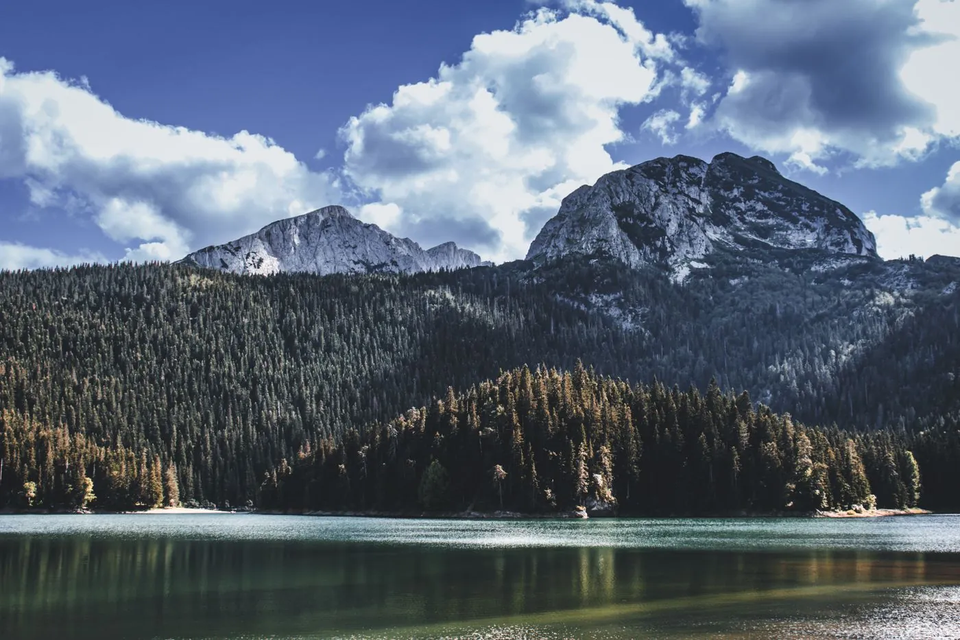 Horské jezero obklopené lesy pod skalnatým vrcholem