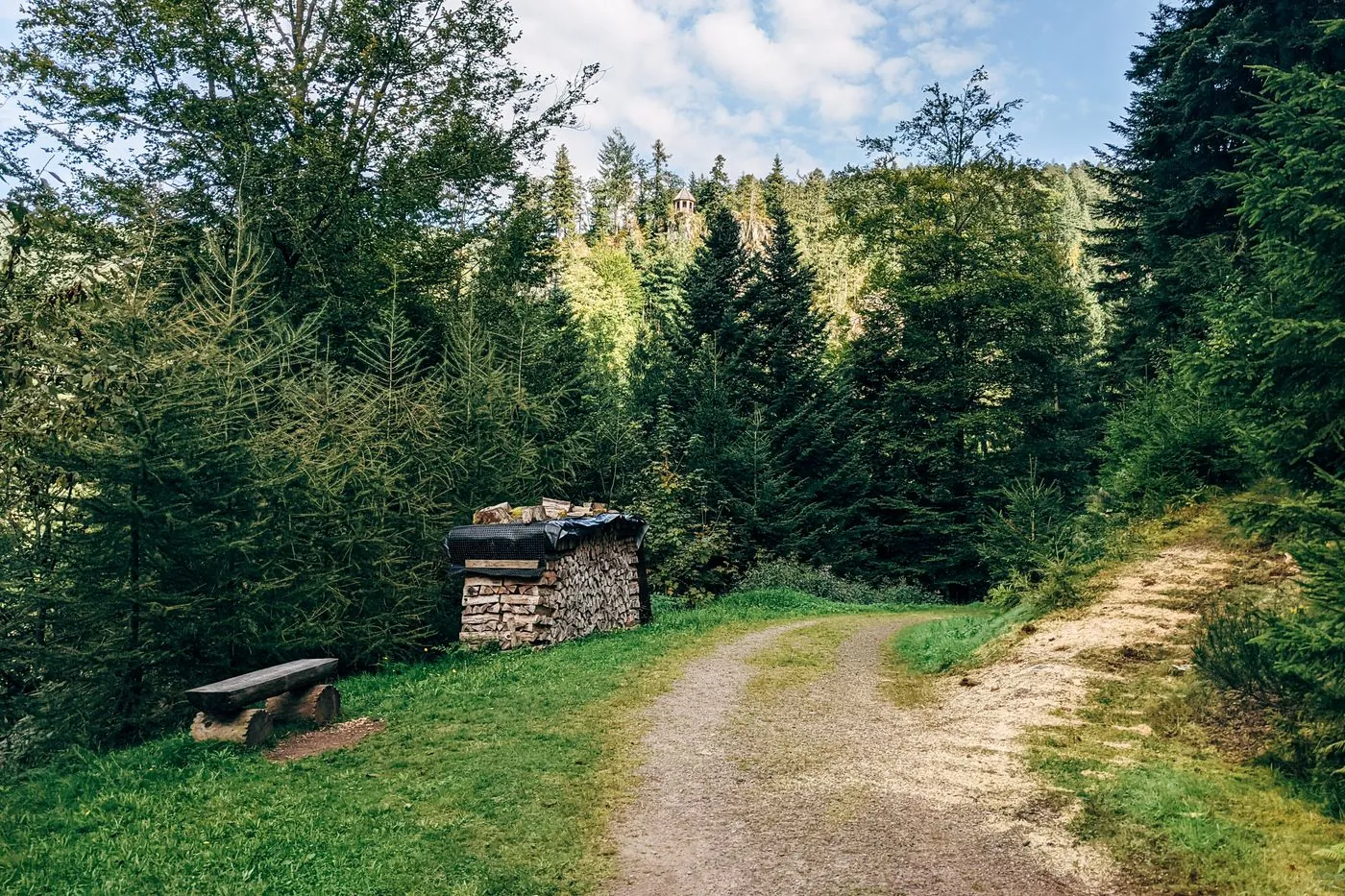 Lesní cesta s lavičkou a naskládaným dřevem