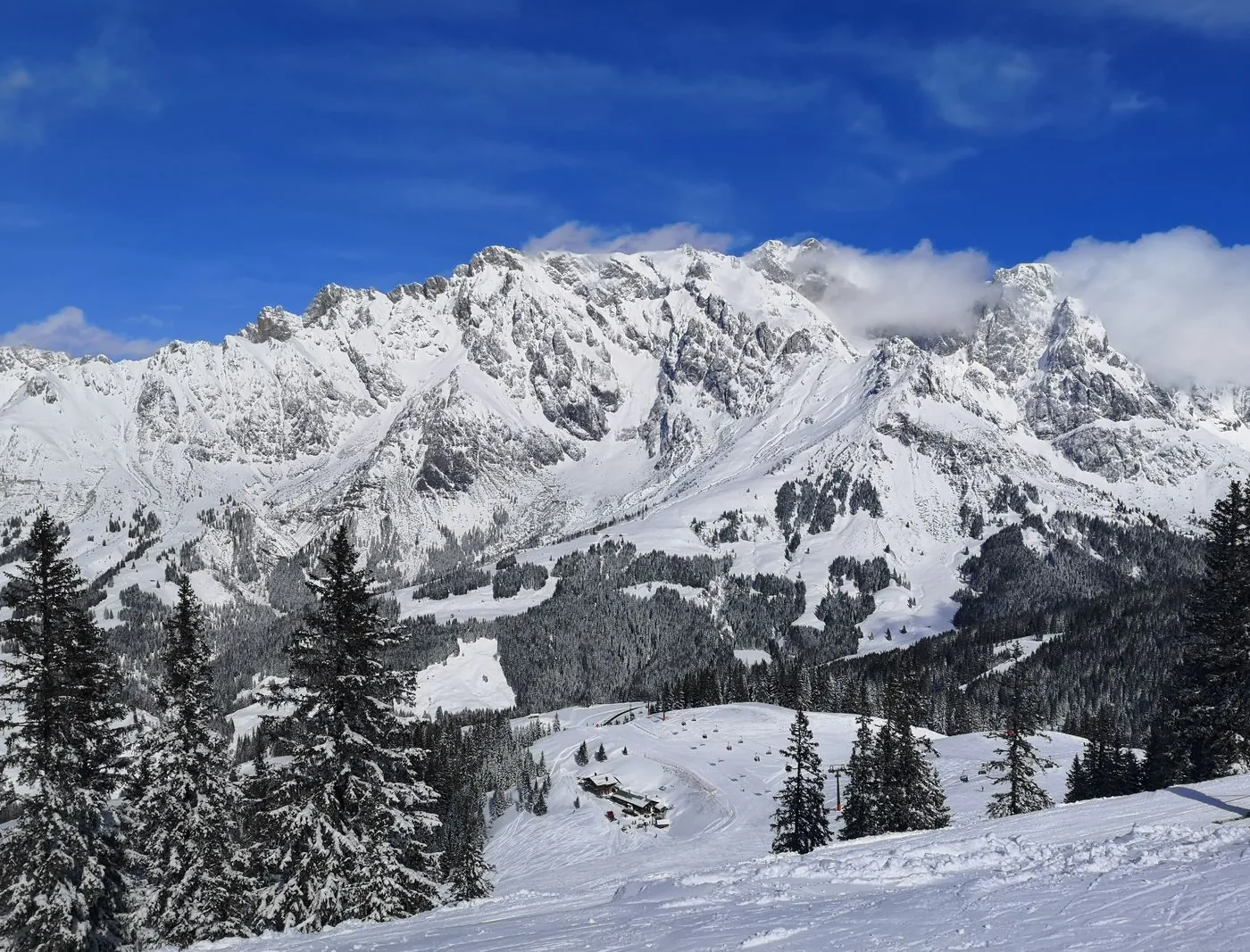 Zasněžené horské štíty nad lesem