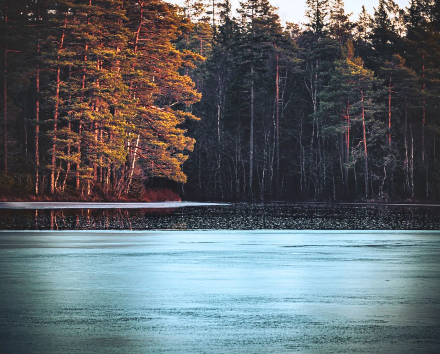 Zamrzlé lesní jezero v ranním světle