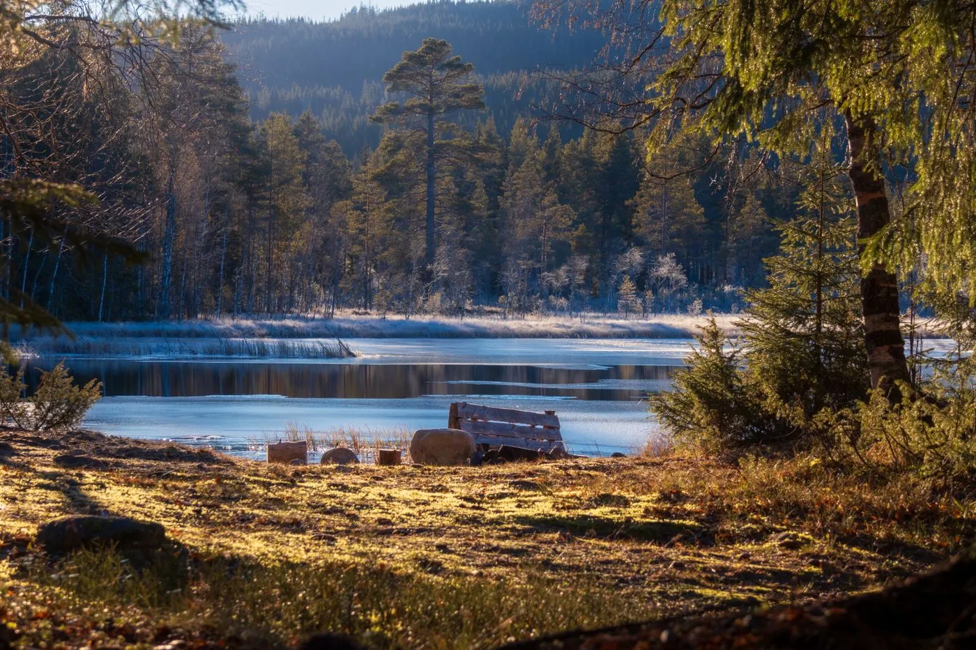 Jezero s lavičkou obklopené jinovatkou