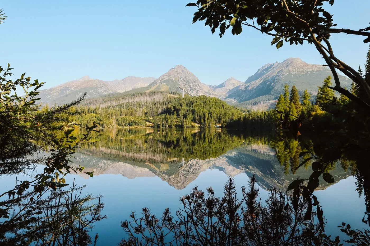 Horské jezero obklopené lesem a zasněženými štíty