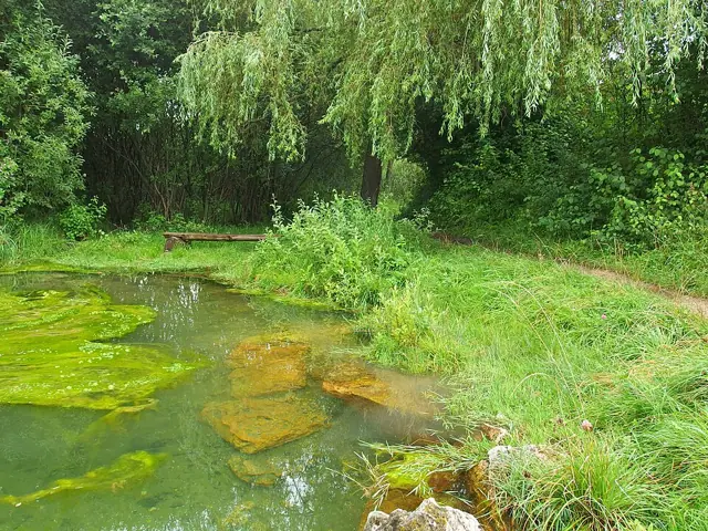 Wellness pobyt na Liptově se stravou i bazénem
