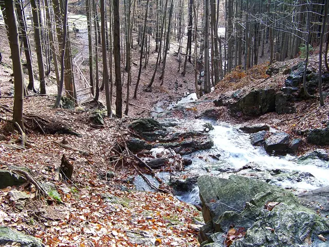 Horská chata v Rokytnici nad Jizerou s polopenzí